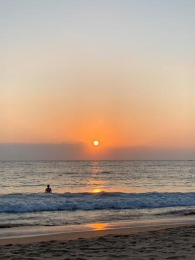 Kranti Yoga Tradition - Beach Resort Patnem Beach Exterior photo